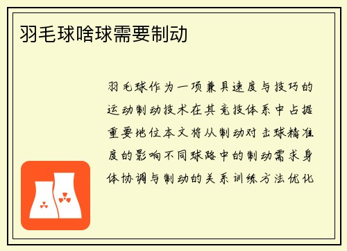 羽毛球啥球需要制动
